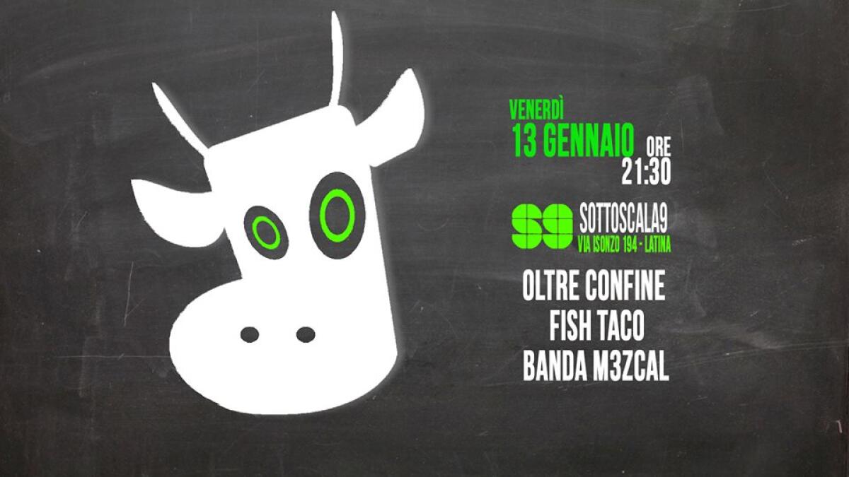 Carni Alternative, a Latina la musica torna al Sottoscala 9 - 