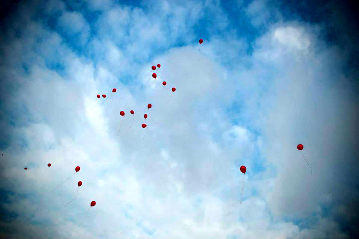 “Volare Libere”: a Rocca Massima oggi pomeriggio il flash mob per dire “Stop alla violenza sulle donne”. - 