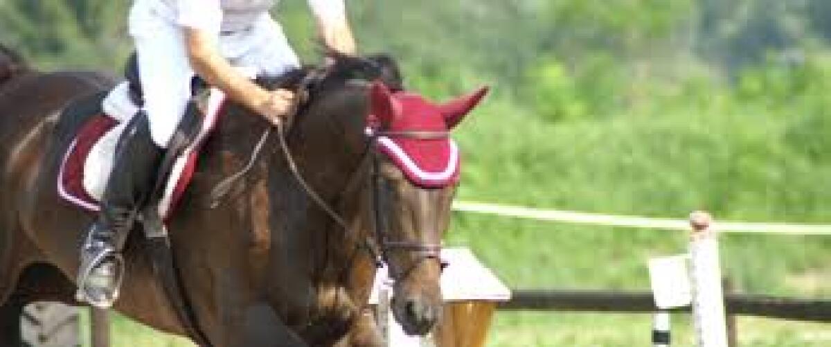 LATINA - Oggi in Provincia la presentazione del concorso ippico "Gran Premio - Città di Cisterna". - 