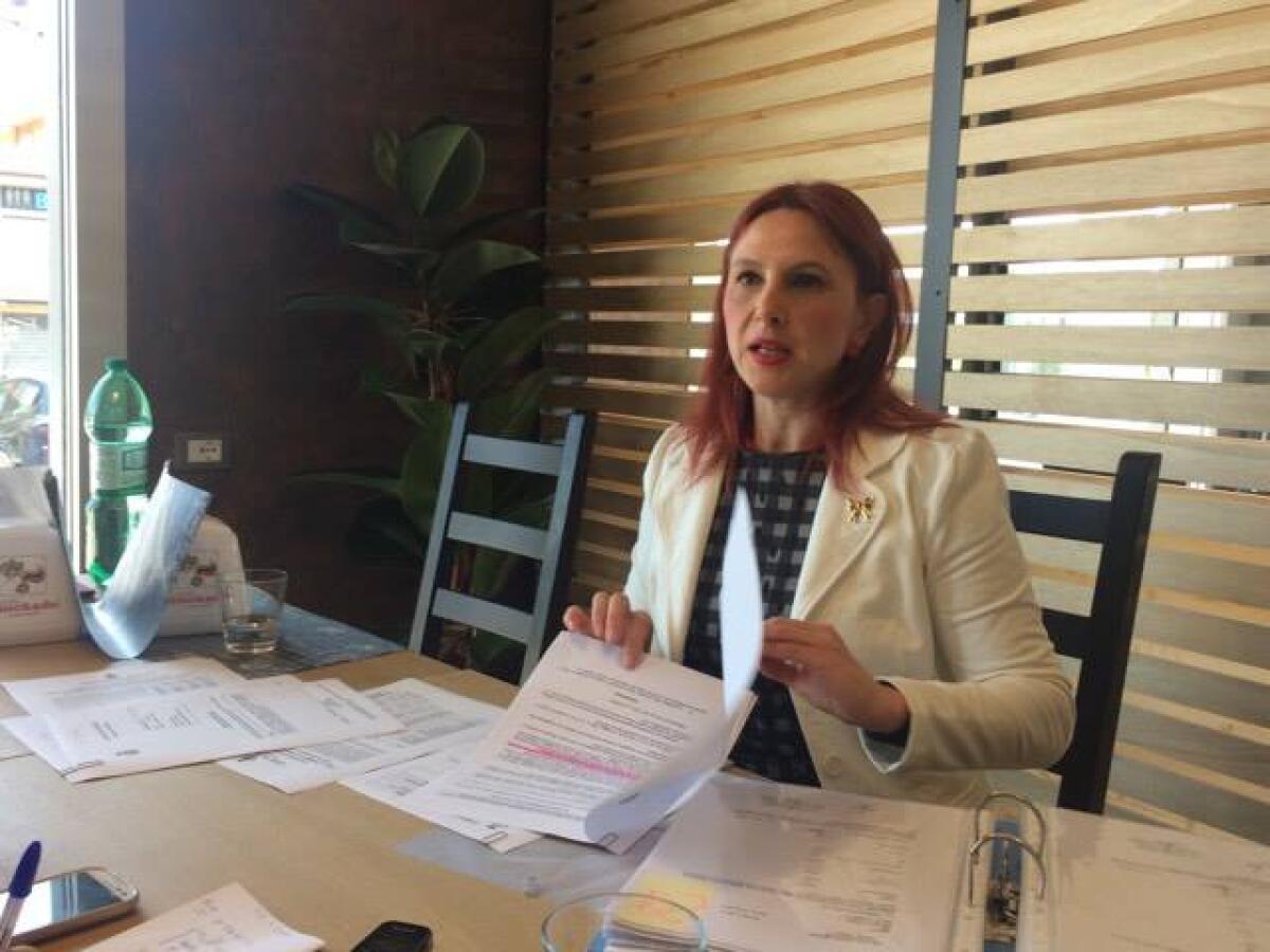 Rimborsi legali gonfiati, la Porcelli: "Troppi lati oscuri" - 