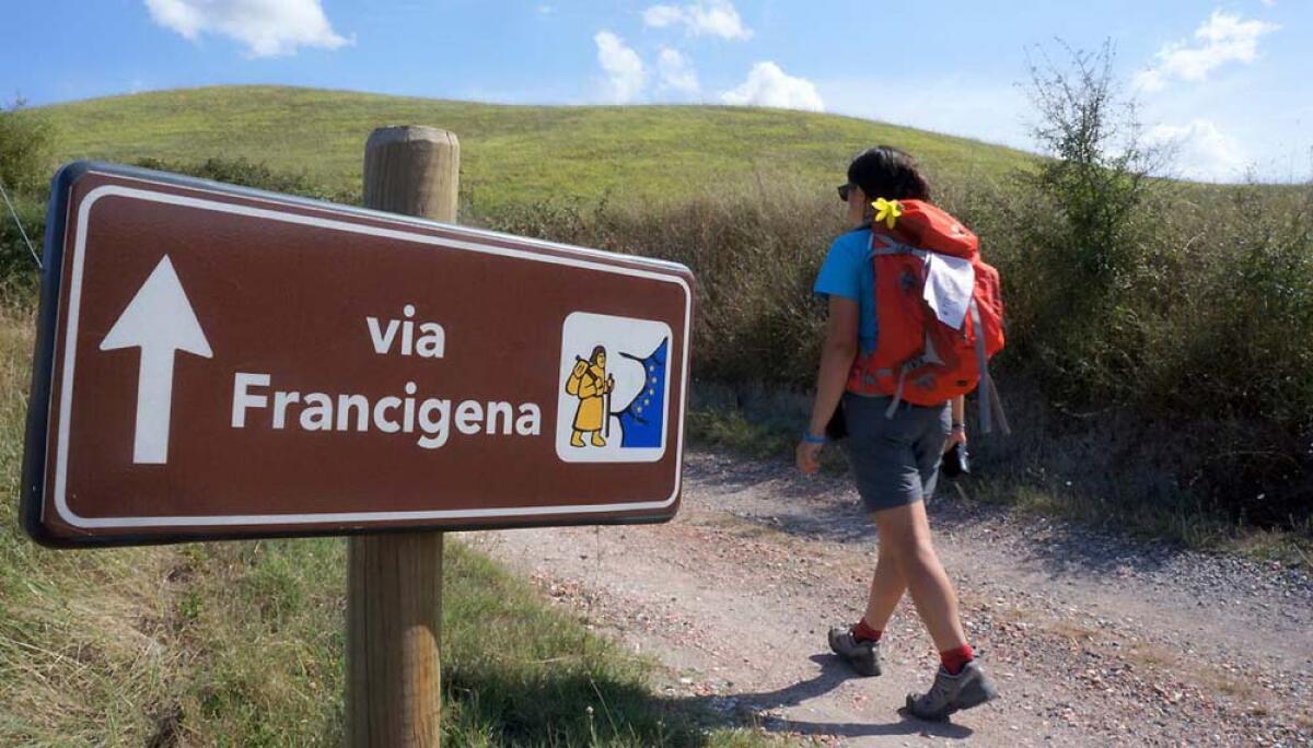 Passeggiata questa domenica lungo la Via Francigena dei Castelli Romani. - 