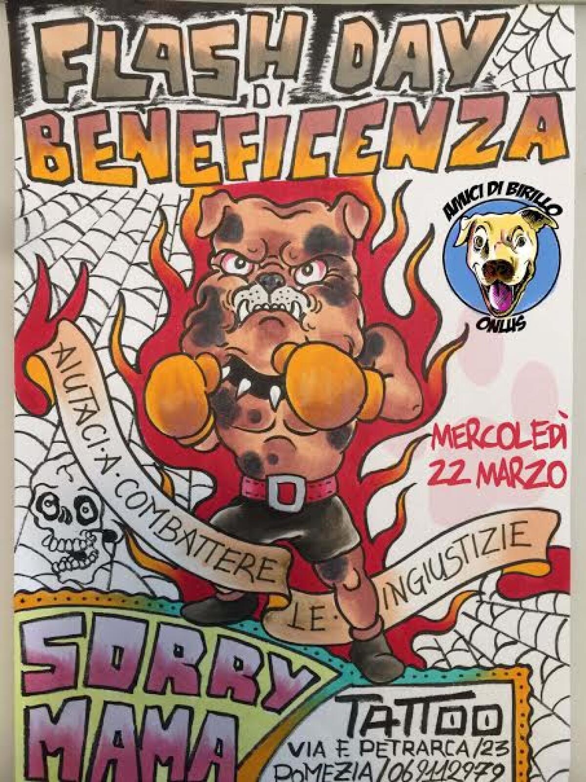 Pomezia, torna il "Flash day" per i nostri amici a 4 zampe - 