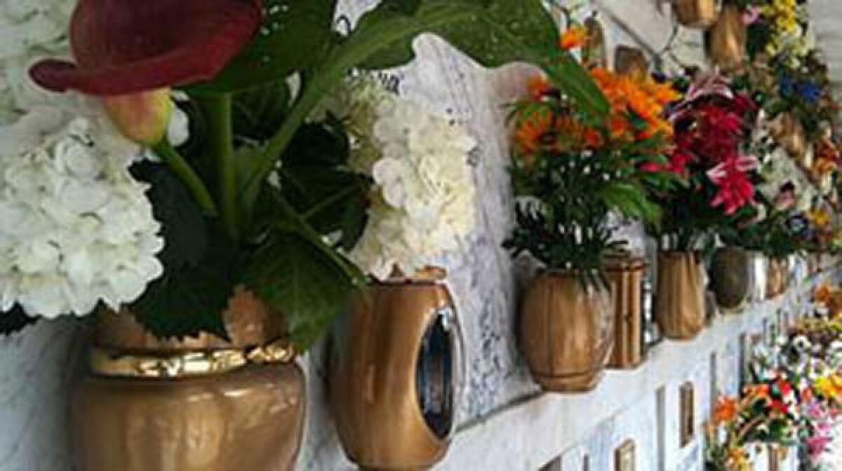 LATINA - Anziana muore in casa e resta sul letto per 5 giorni, "Servizi sociali da potenziare" - 