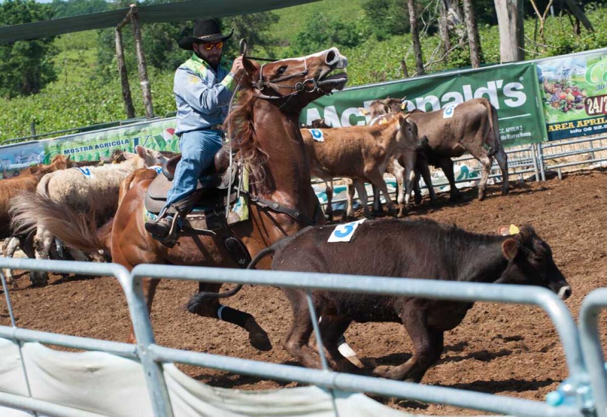 APRILIA - Taglio del nastro questo sabato per la XXXII Mostra Agricola Campoverde. - 
