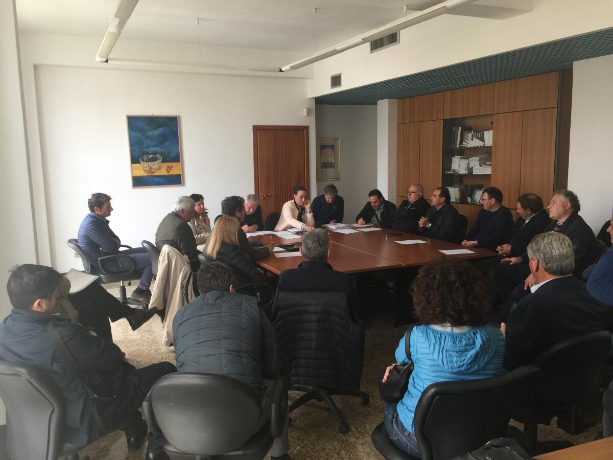 Danni all’agricoltura causati dal gelo: summit in Comune a Cisterna. - 