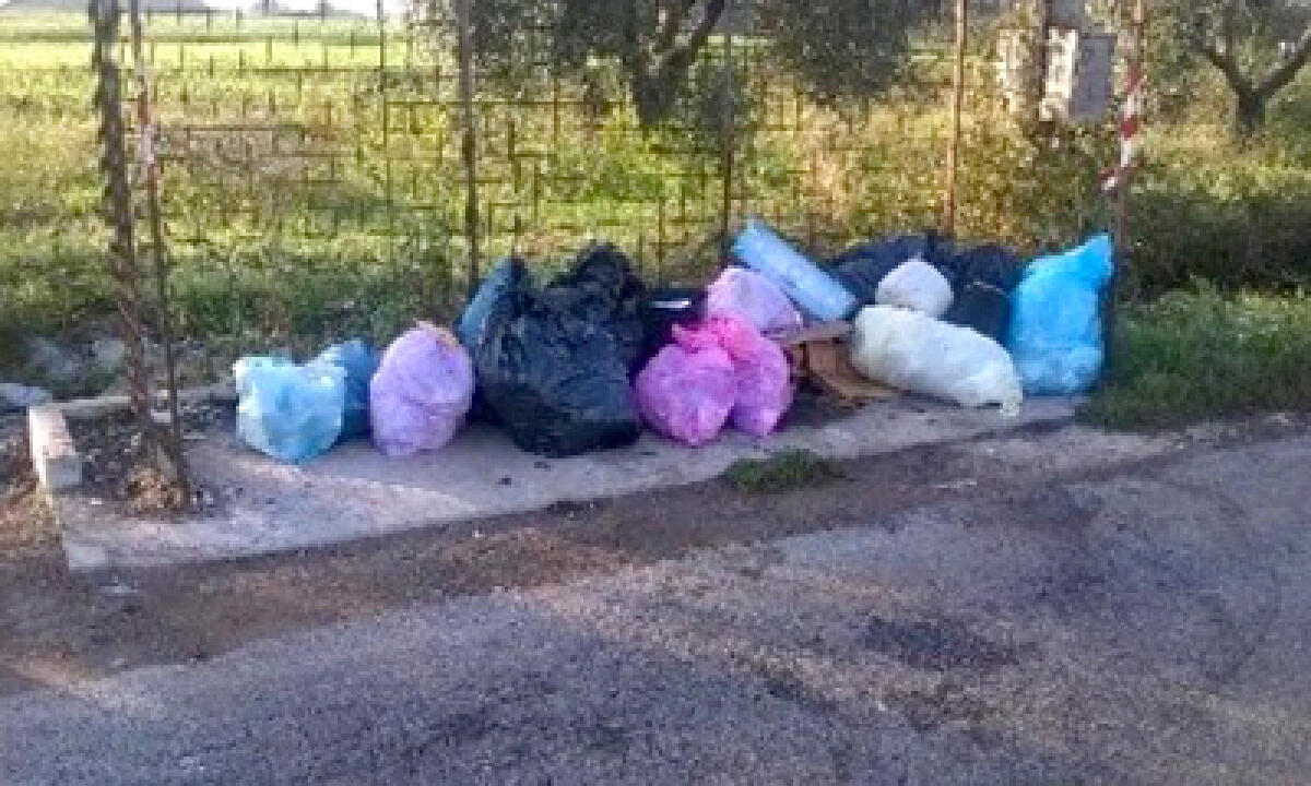 Ardea, 27 guardie ambientali all'opera contro chi non rispetta il territorio - 