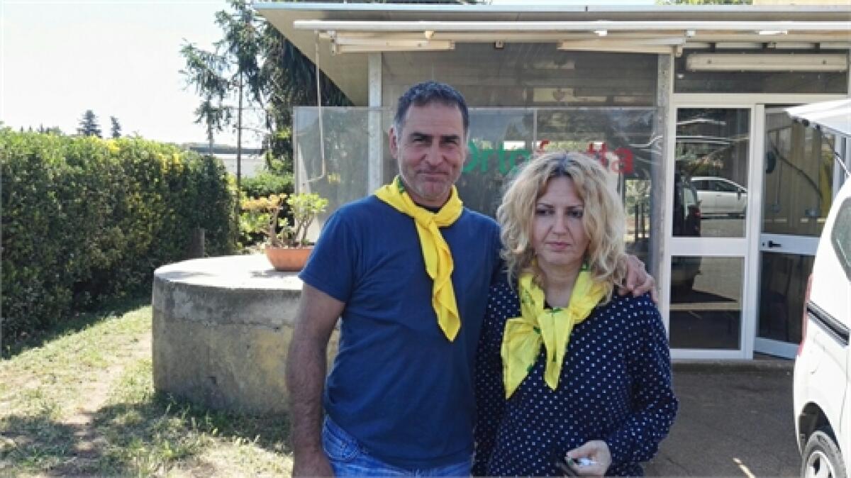 Incendio a Pomezia, agricoltori del territorio disperati: "Siamo nell'incertezza, bilancio dei danni pesantissimo" - 