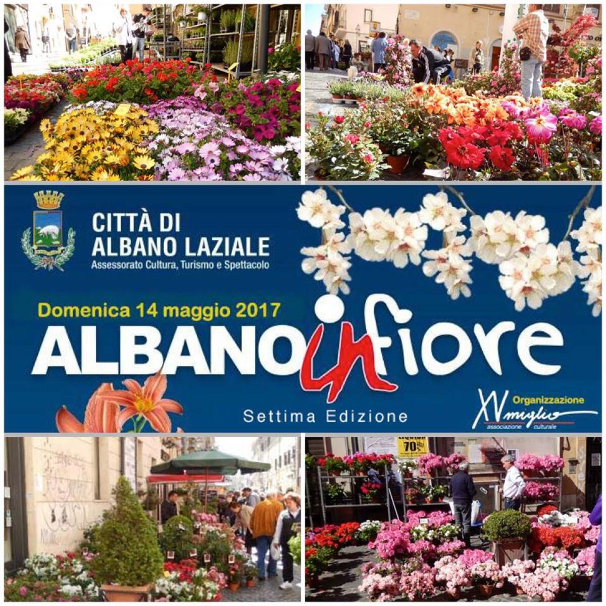 Domenica 14 maggio torna “Albano…inFiore” - 