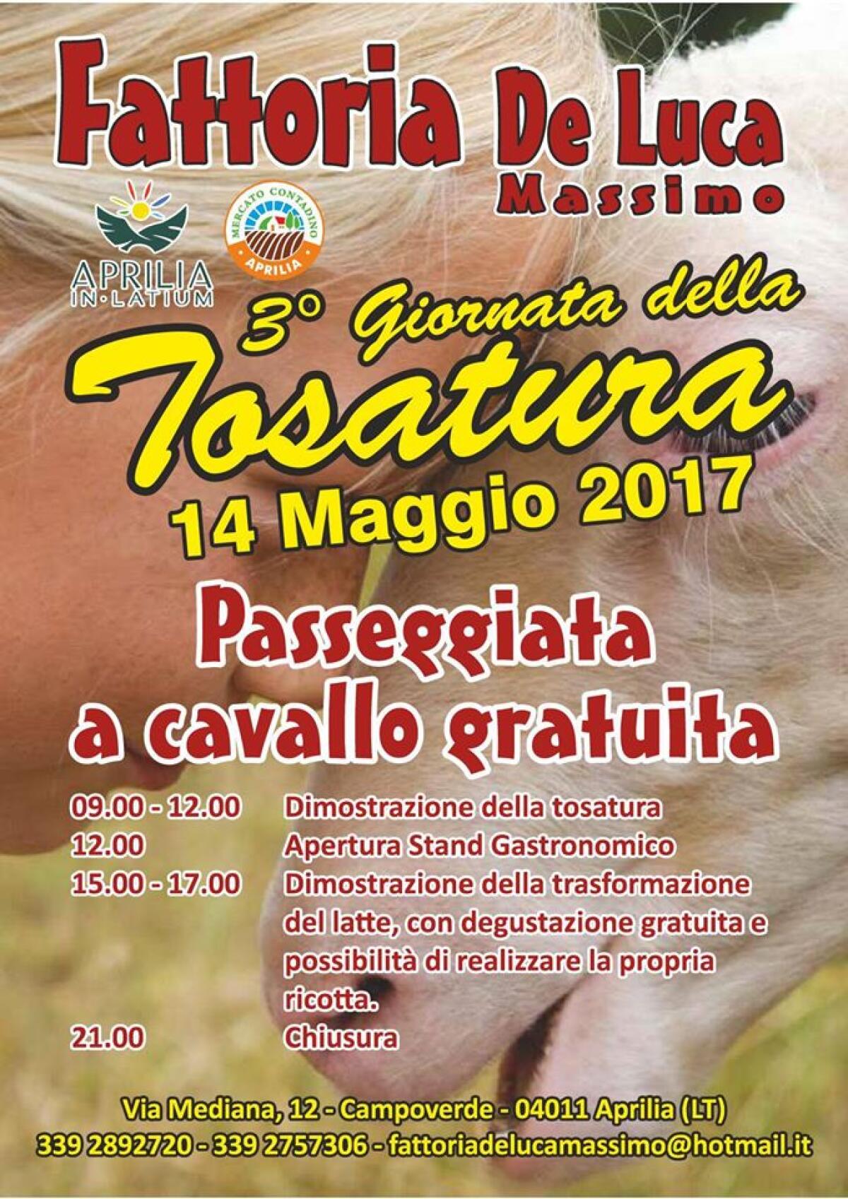 Ad Aprilia una giornata dedicata alla tosatura - 