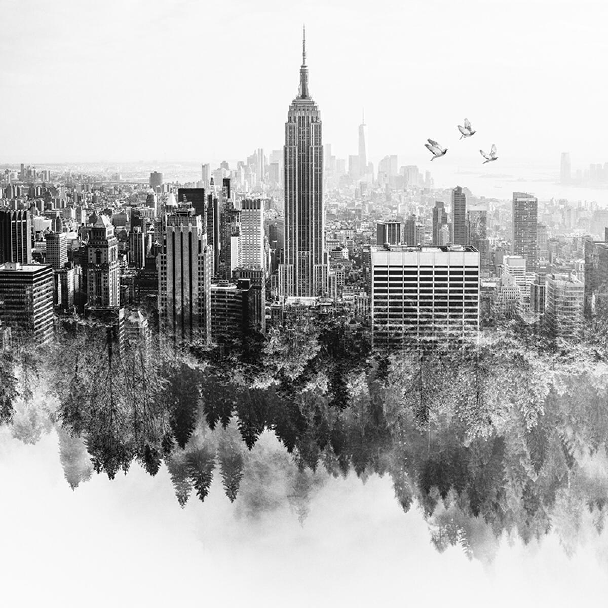 A Latina la mostra fotografica “America” di Salvatore Coluccia - 