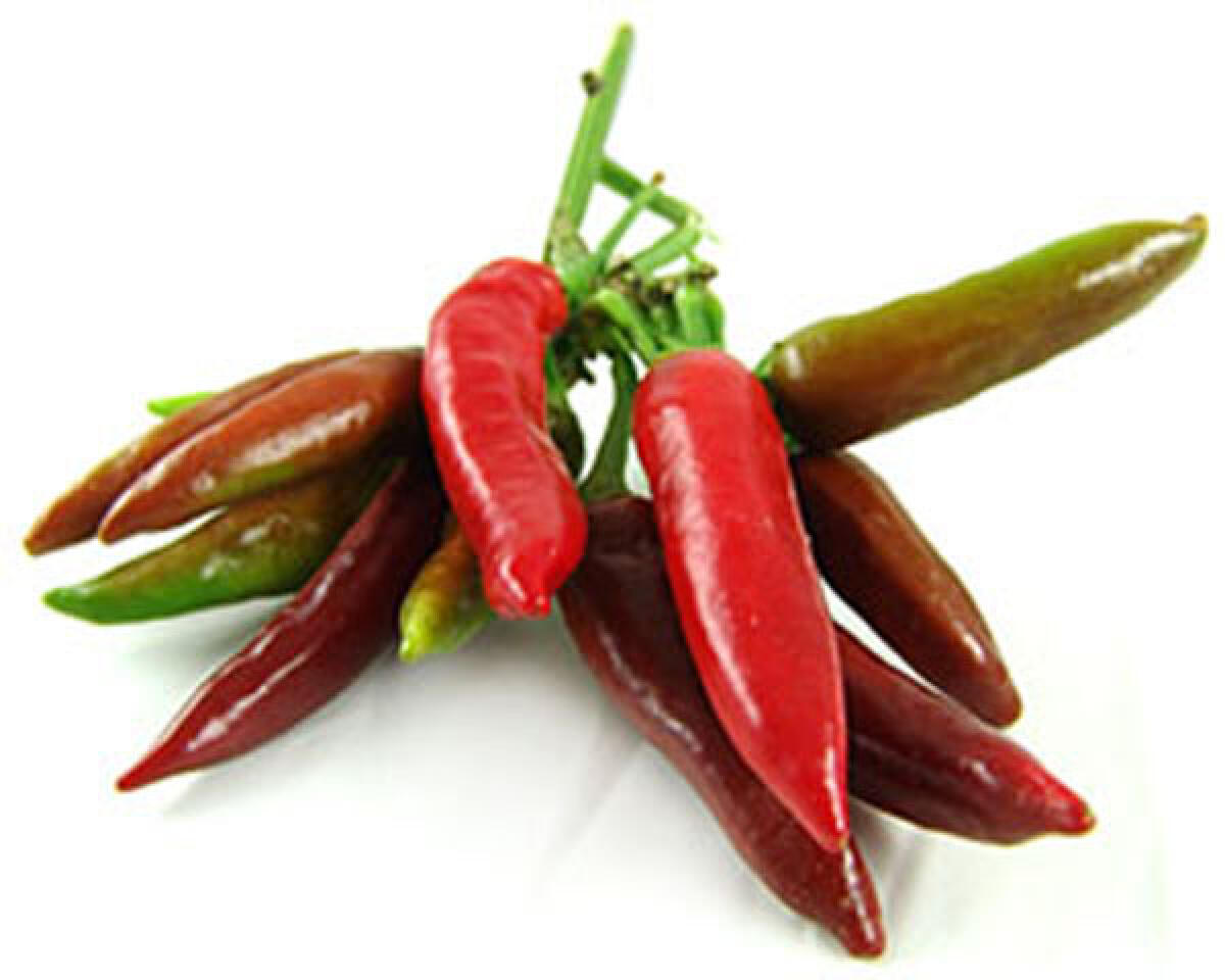 Sagra del peperoncino a Velletri nel fine settimana - 