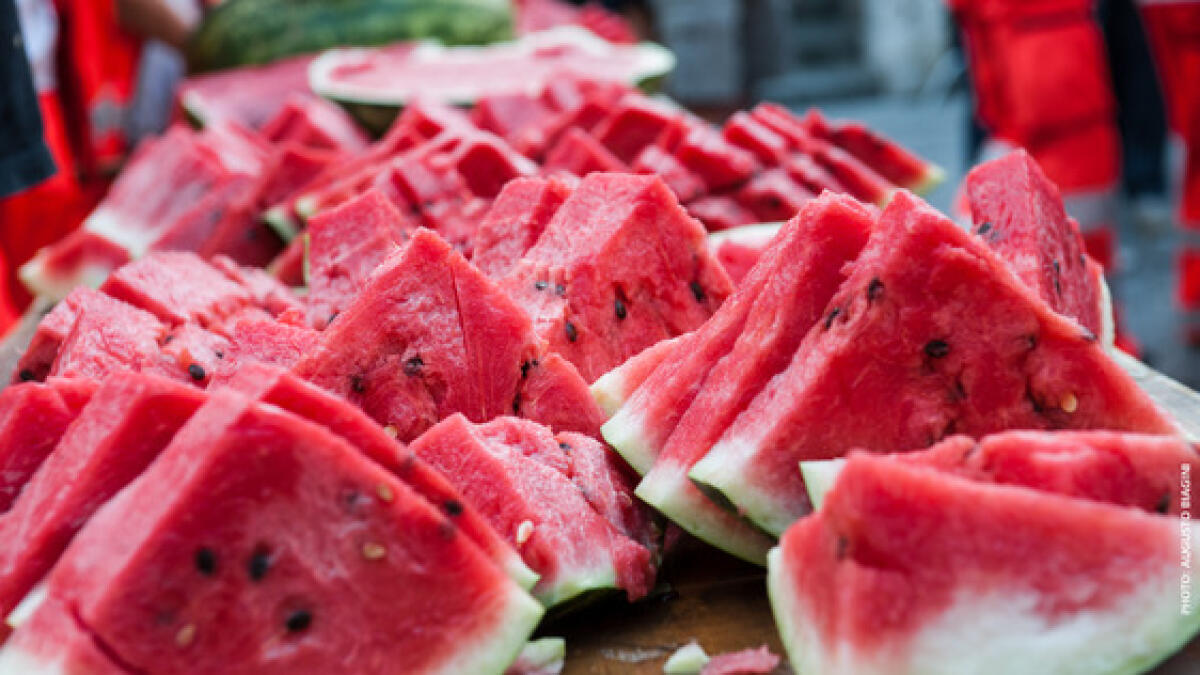 Cocomerata al Quartiere Agroverde di Aprilia - 