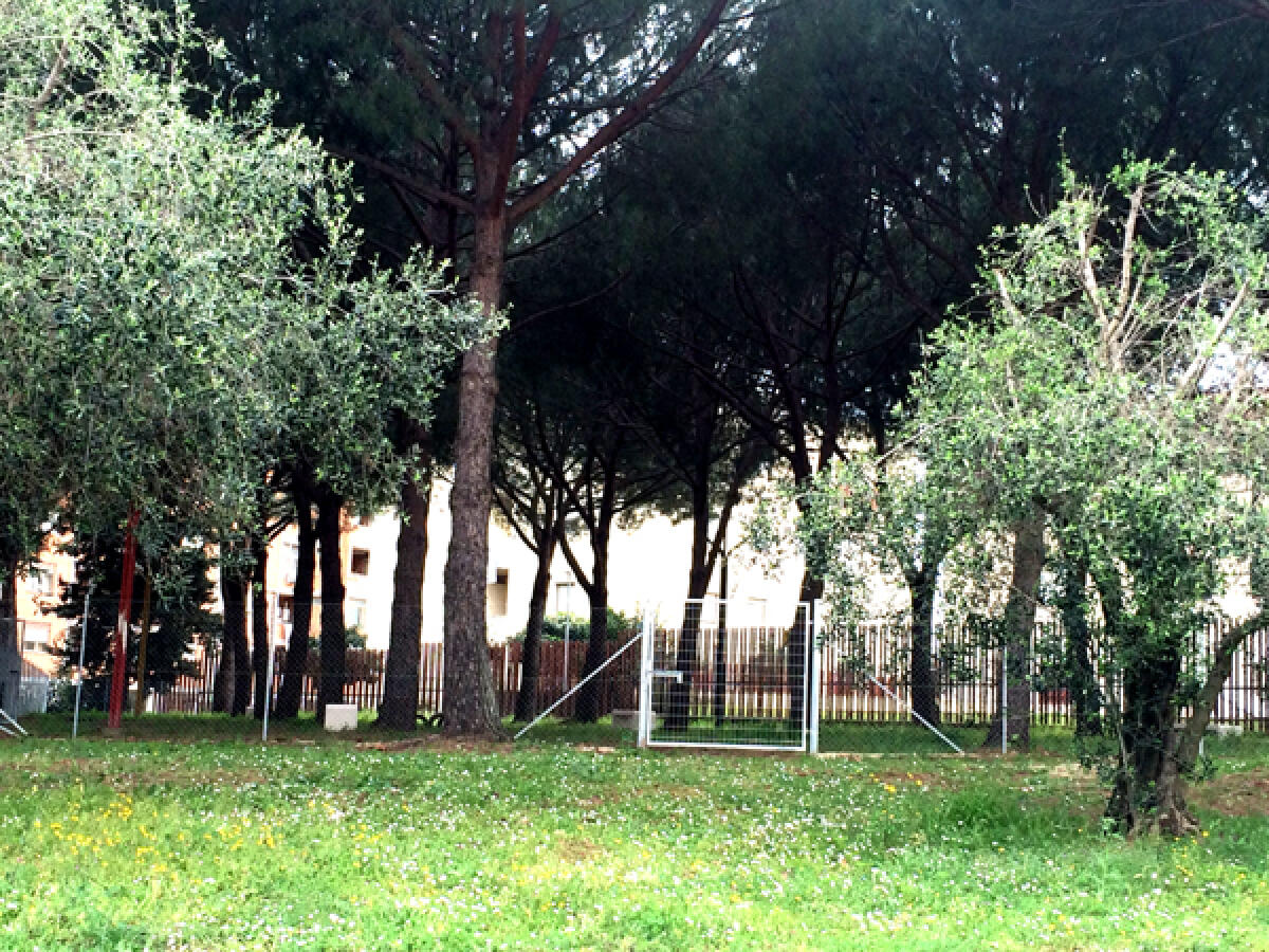 Bau-park del Quartiere Agroverde bersagliato dalle deiezioni canine, "Perché il Comune di Aprilia non sanziona i padroni?" - 