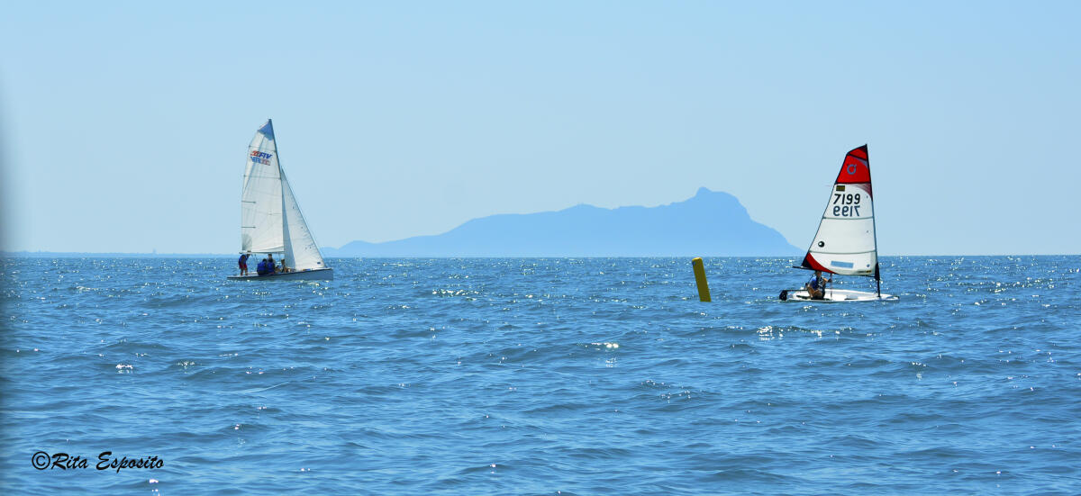"Handy VELA", concluso  il corso dell'Asam di vela per disabili e normodotati - 