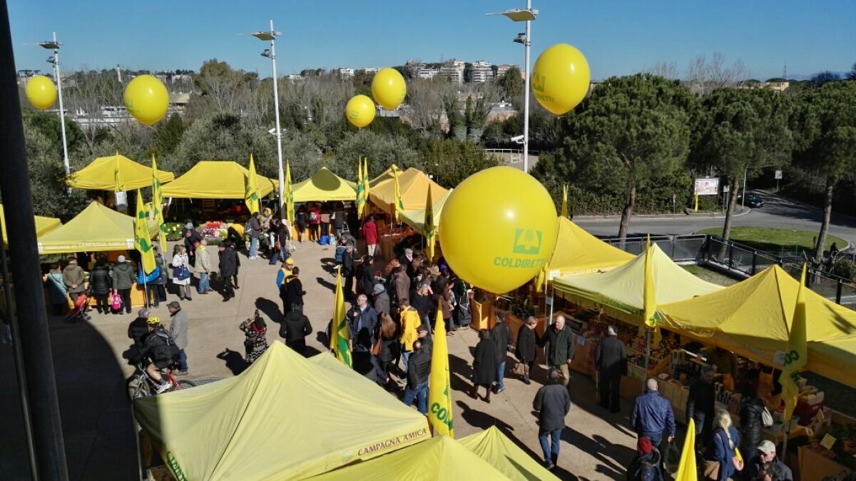 A Sabaudia ogni sabato d'estate si svolge il mercato di Campagna Amica - 