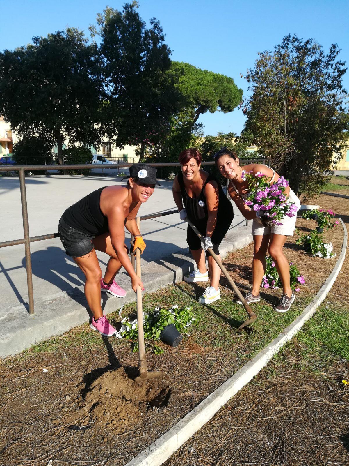 Un fiore per Sabaudia, 33 associazioni all'opera per rendere più bella la città - 
