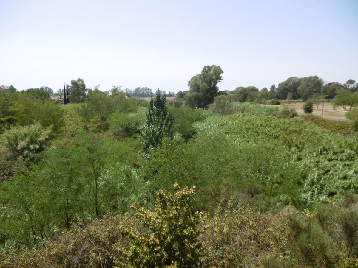 LATINA - Emergenza incendi, al via la manutenzione di fossi e canali. - 
