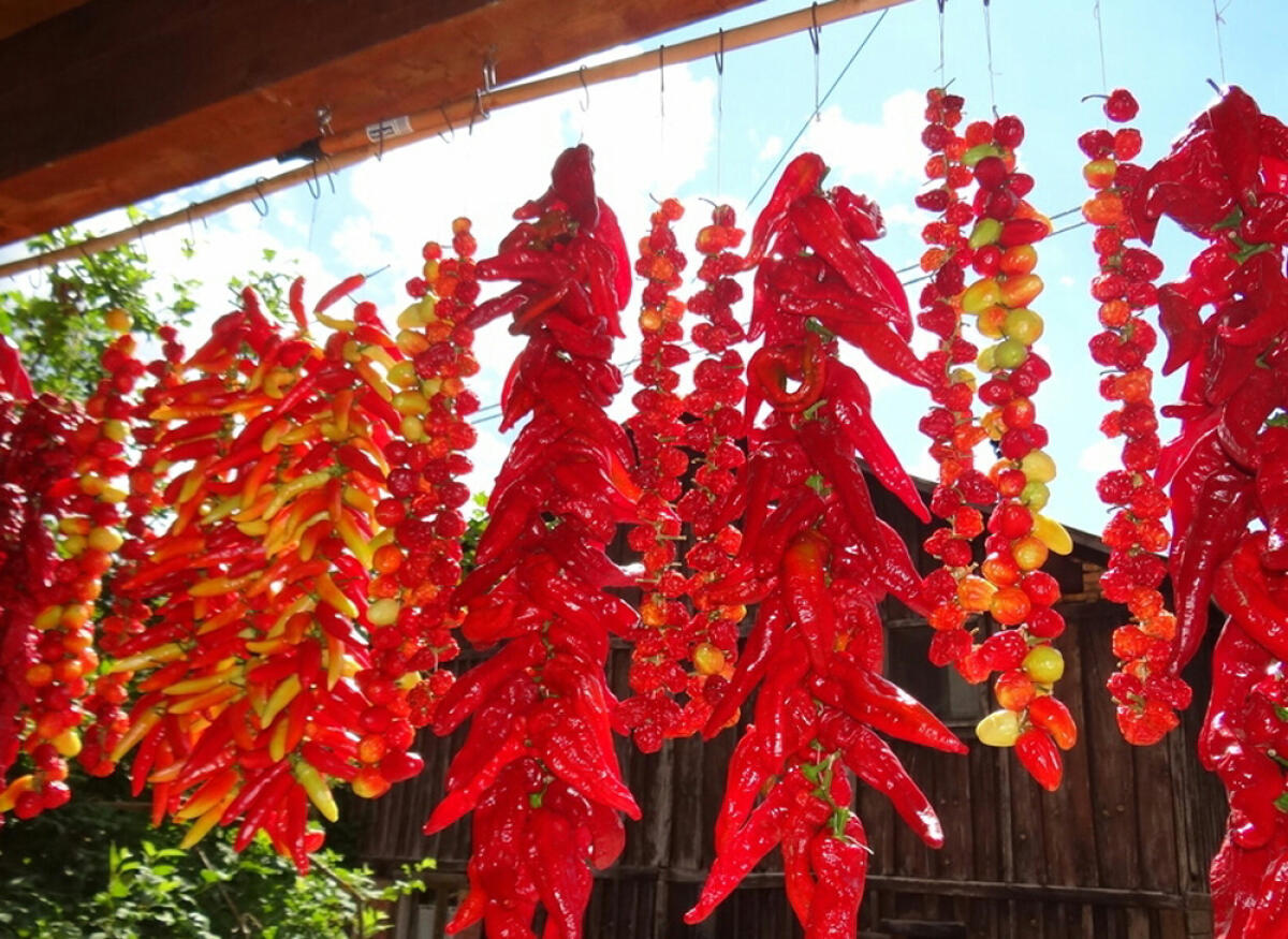 “Rieti Cuore Piccante”: sino a domenica 27 agosto la Fiera internazionale del peperoncino. - 