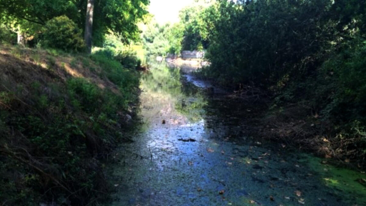 Emungimento alla sorgente di Ninfa: a rischio l'ecosistema. Presentato un esposto. - 