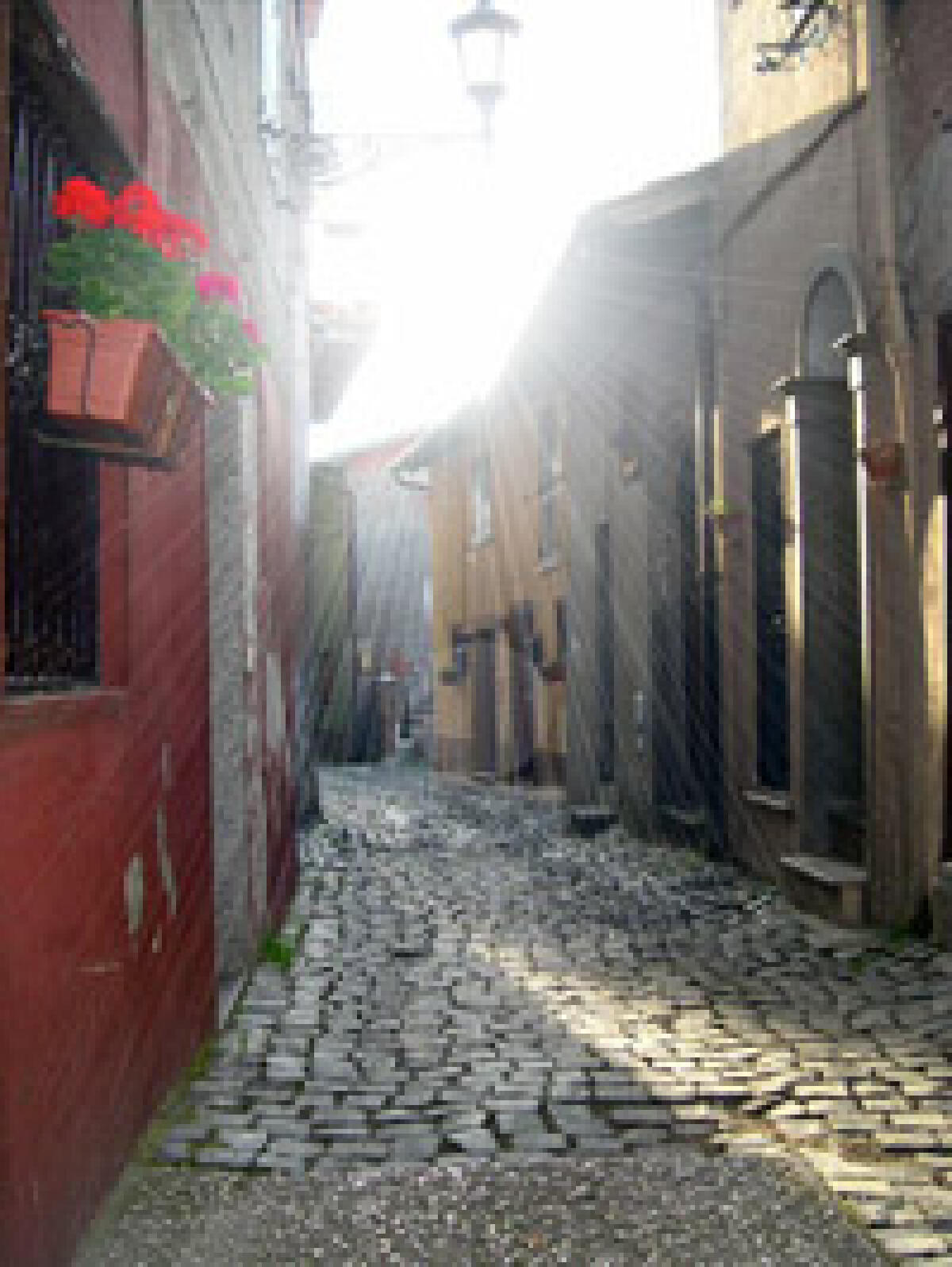 A Rocca Priora questo fine settimana la “Festa della Madonna della Neve”. - 