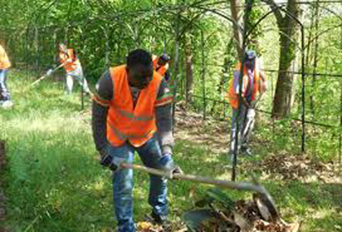Migranti, firmato protocollo d'intesa in Prefettura per l'integrazione - 