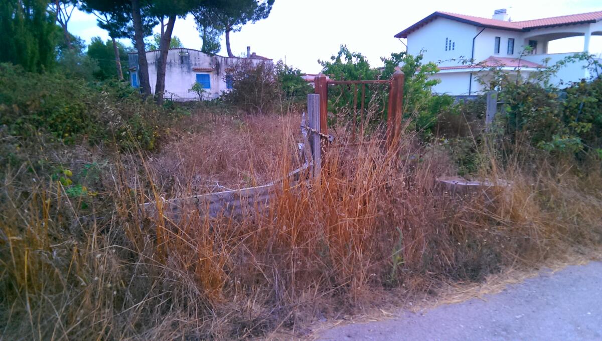 ANZIO - Terreno incolto di via dei Tre Pini, a Lavinio, a rischio incendio. - 