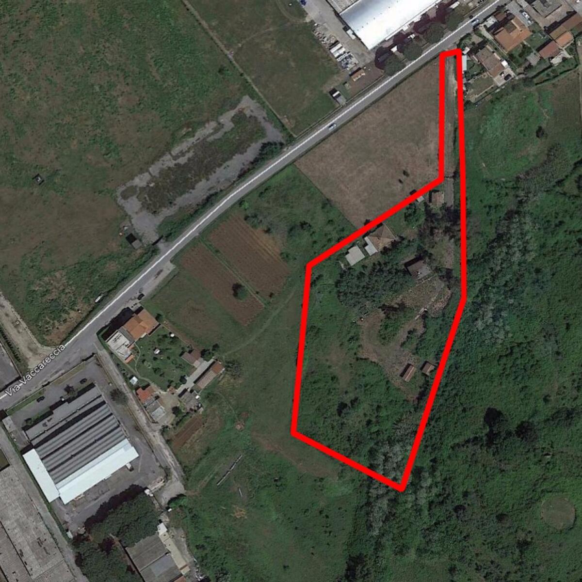 A Pomezia in arrivo un nuovo parco-canile - 