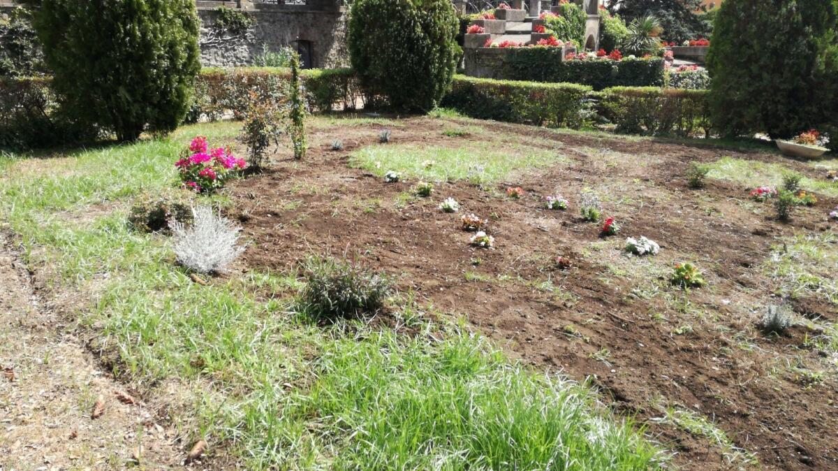 ALBANO - Villa Doria: completata la messa in opera dell’irrigazione, manutenzione su fontane, siepi e alberi. - 