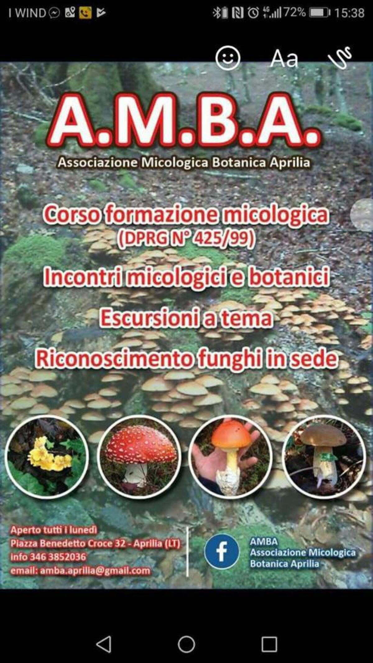 Ad Aprilia un corso per ottenere il tesserino per la raccolta dei funghi. - 