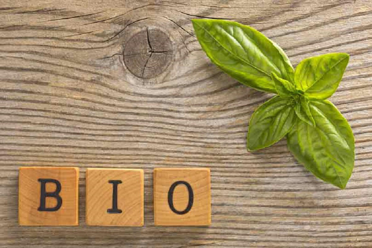 Il biologico vola alto anche in provincia di Latina - 