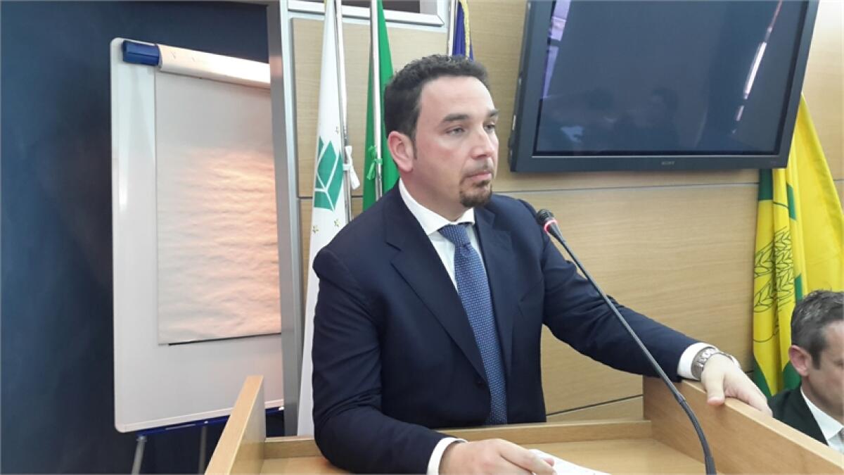 Olio extravergine, crolla produzione. Coldiretti: “Per evitare truffe acquistate in azienda o dai frantoi” - 