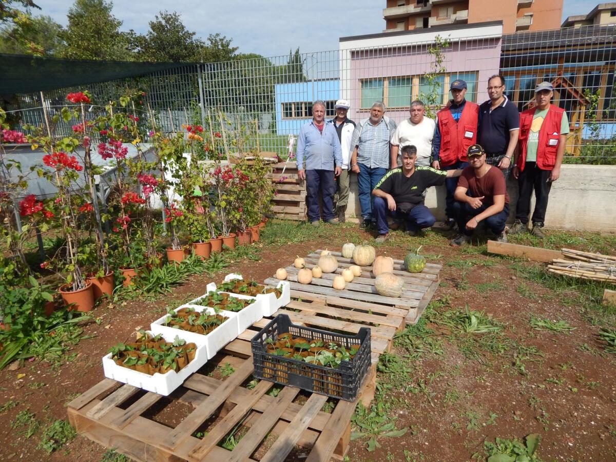 Stagione delle fragole alla serra fotovoltaica di Via Giustiniano ad Aprilia - 