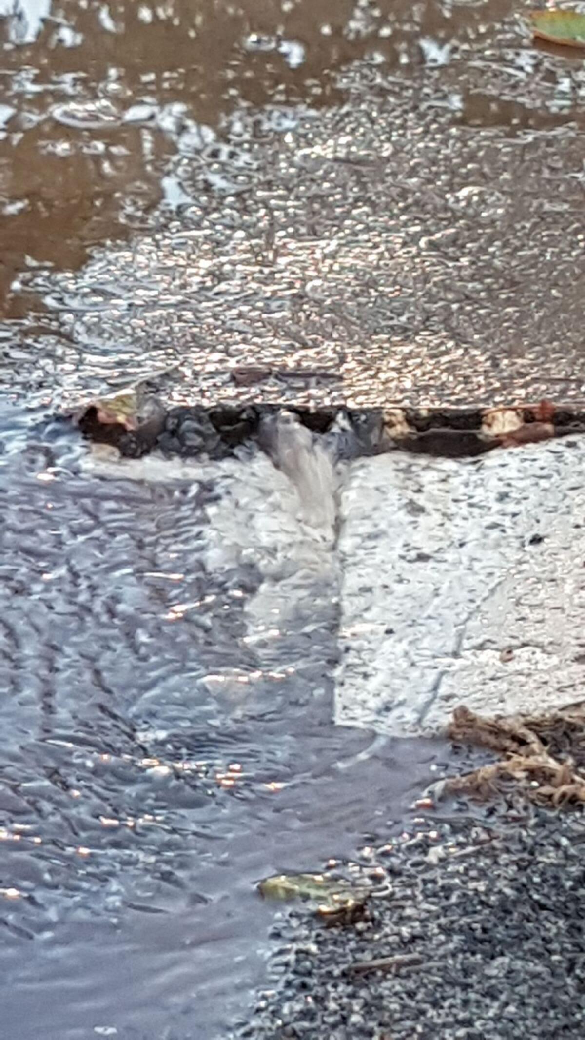 Nuove segnalazioni di perdite di acqua ad Aprilia: guasti in Piazza della Repubblica e in via Cattaneo. - 