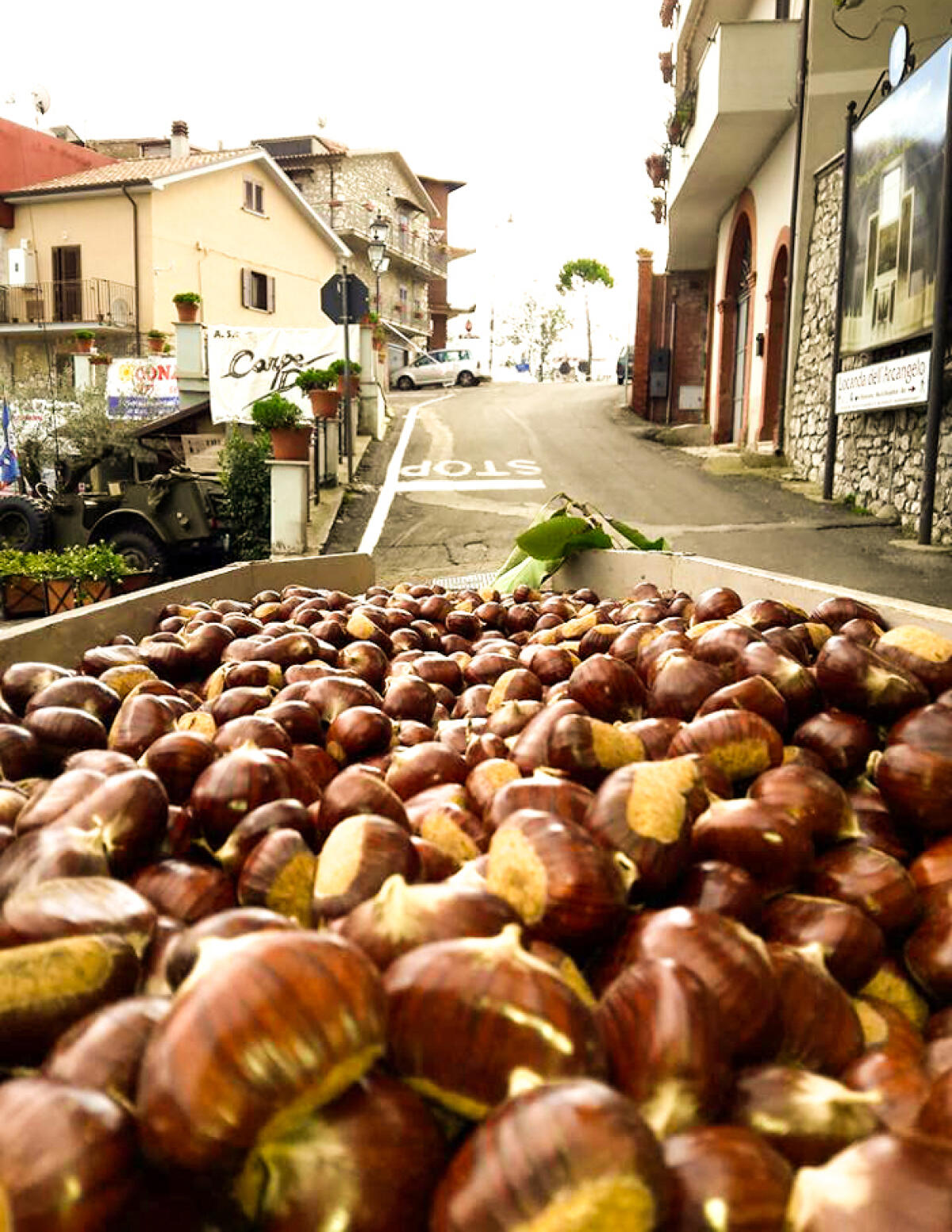 La Sagra delle Castagne di Rocca Massima giunge alla sua XII edizione. - 