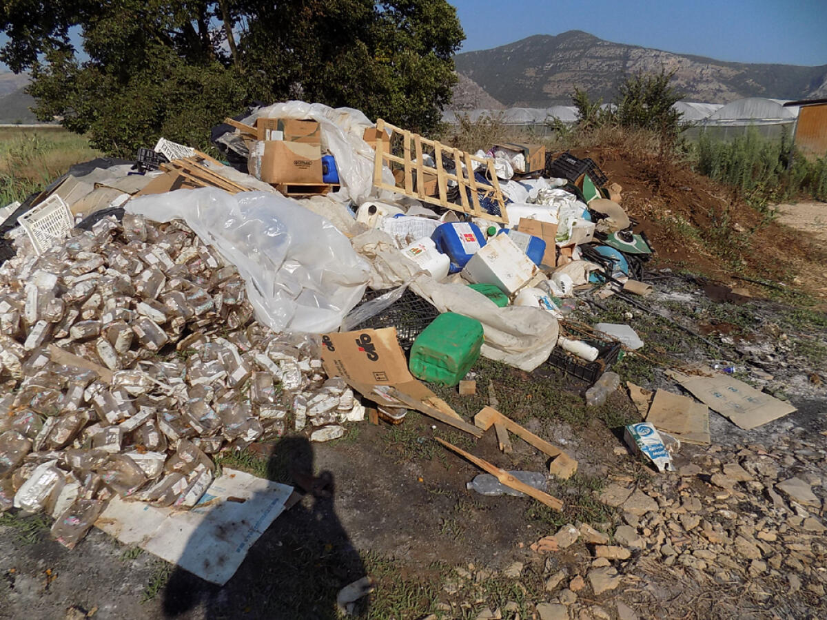 Albano, continuano le domeniche ecologiche - 