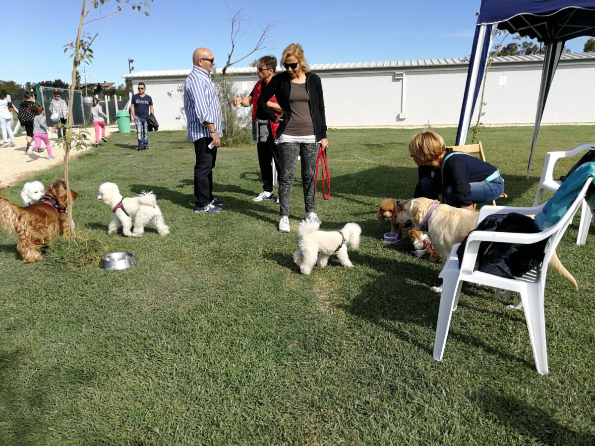 Latina - Successo per l'iniziativa "Colazione con Fido" - 
