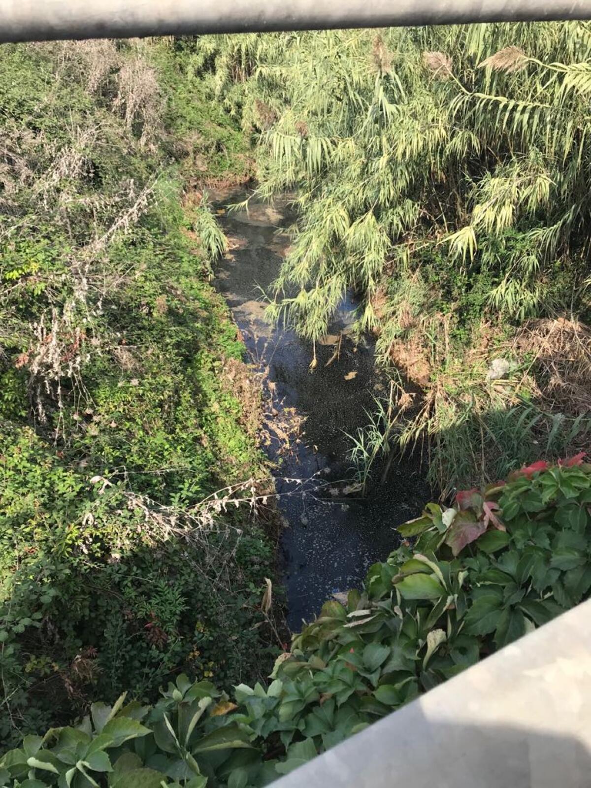 Aprilia - Miasmi al fosso della Ficoccia, Apl: "Si intervenga subito per limitare i disagi" - 