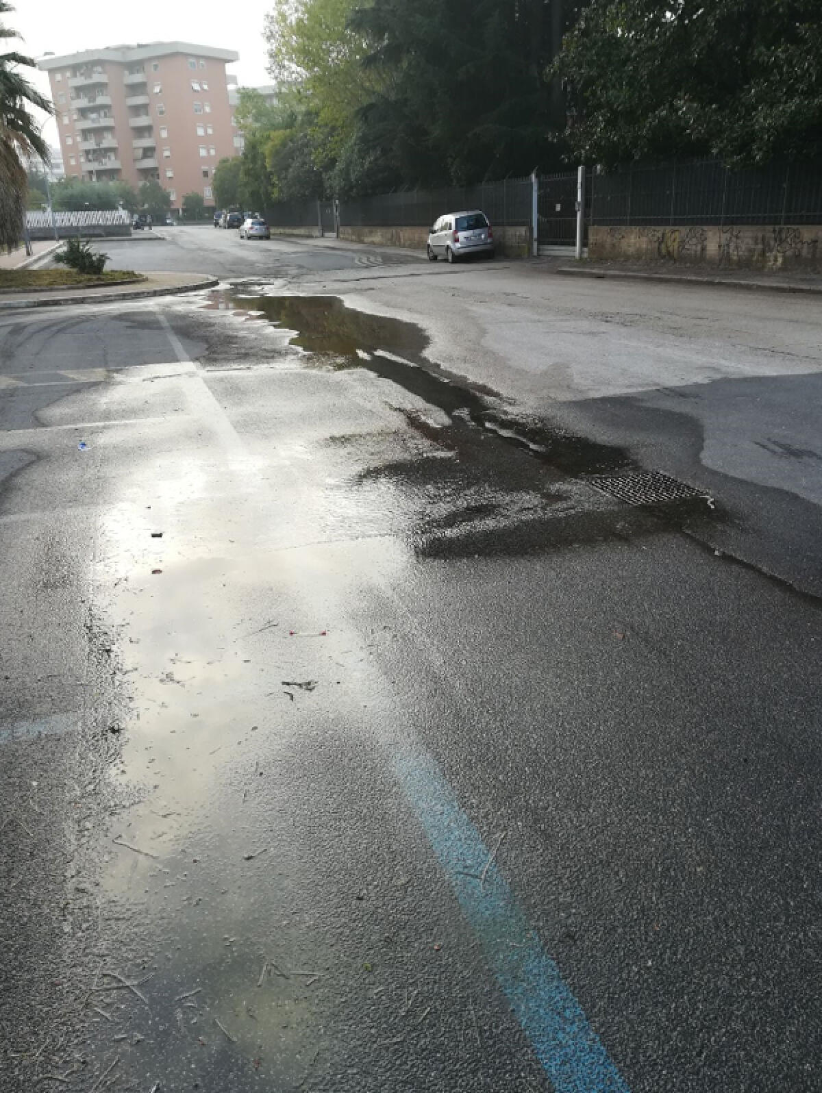 Perdite d’acqua in via del Progresso ad Aprilia: la segnalazione di un'ascoltatrice. - 