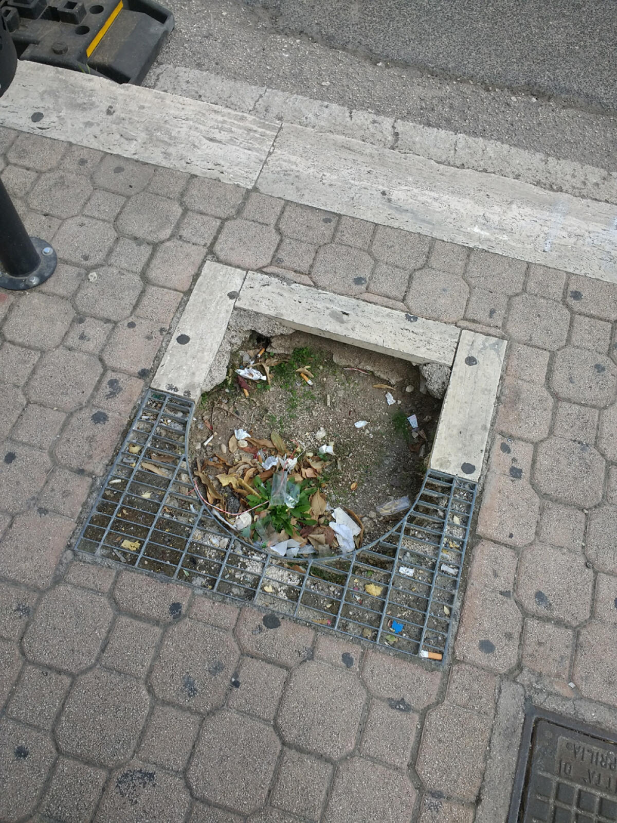 Buche sui marciapiedi nel centro di Aprilia, segnalazione in via dei Lauri. - 