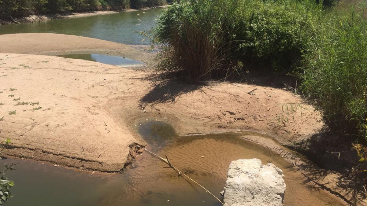 Emergenza idrica nel Lazio, Coldiretti ai Consorzi di bonifica: “garantire irrigazione fino alla fine di ottobre”. - 