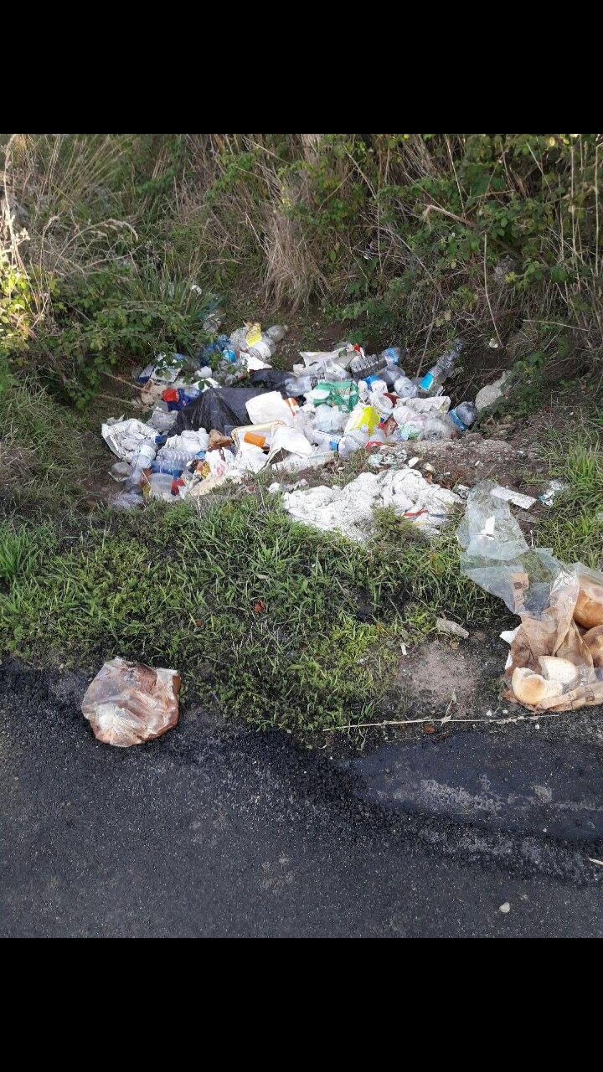 Tutela dell'ambiente, "Ad Aprilia solo utopia" - 