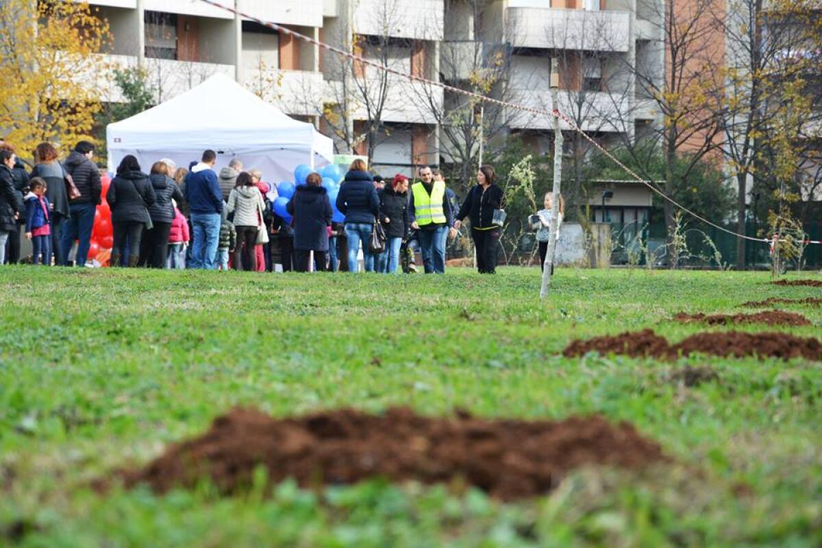 Pomezia, 1000 alberi in più piantati dai bambini della città - 