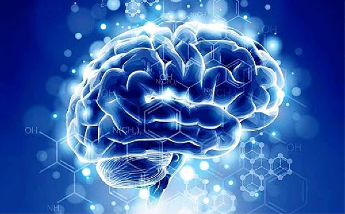 “Materia e pensiero, il conflitto che non esiste”: incontro questa sera a Latina. - 