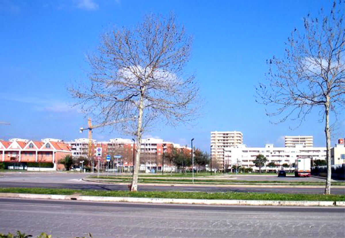 Criminalità ad Aprilia, "Potenziamo l'organico delle forze dell'ordine sul territorio" - 