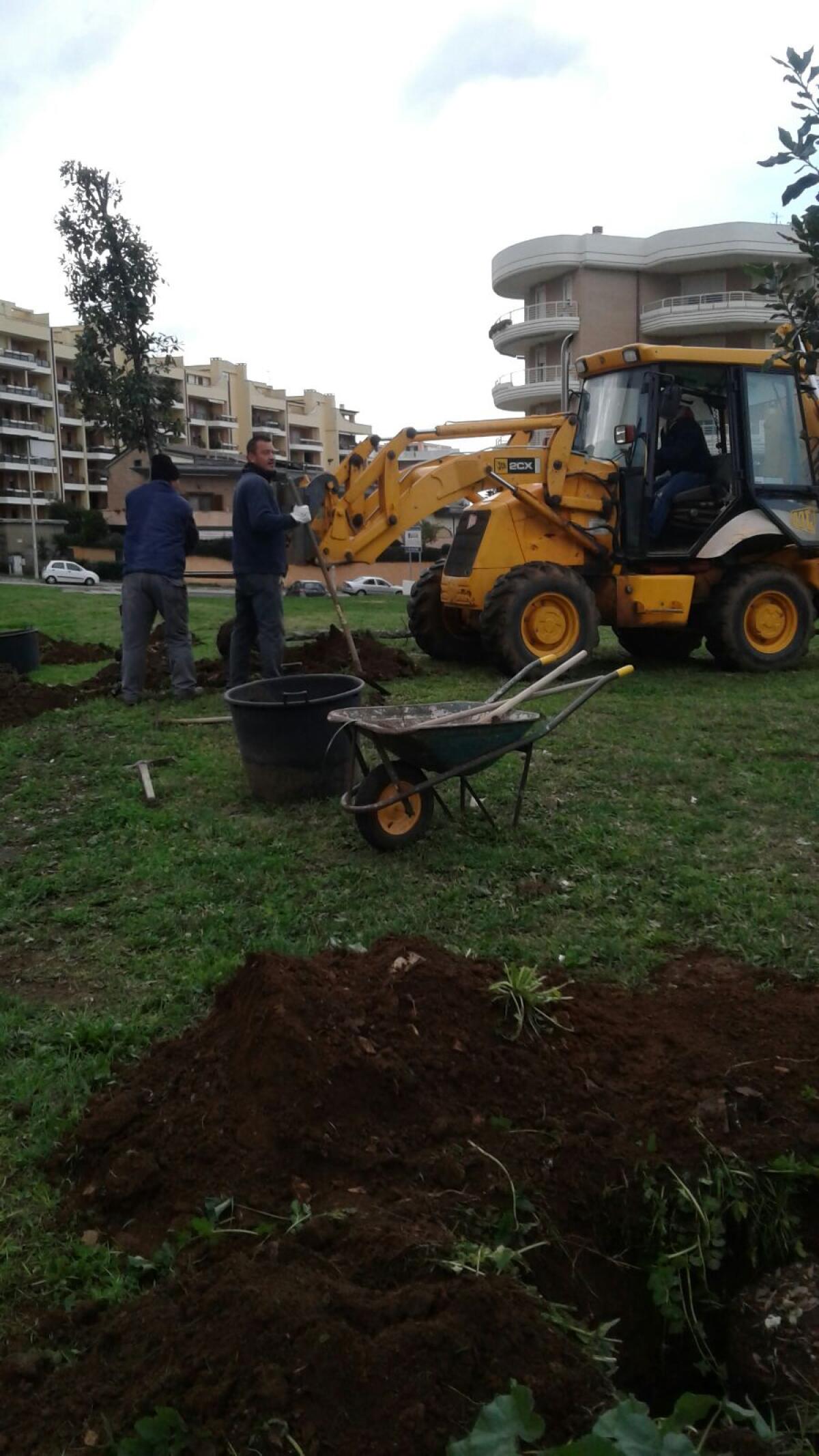 Nuovi alberi per il territorio di Pomezia - 