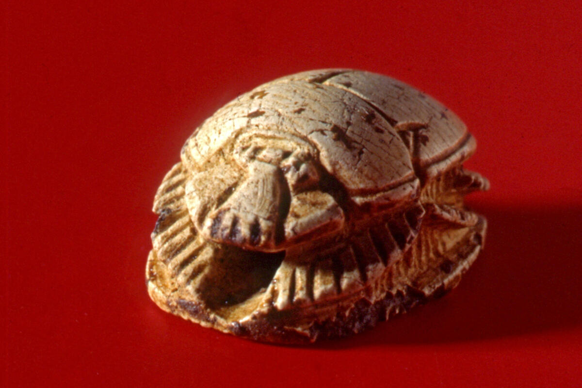 I reperti archeologici della necropoli di Caracupa tornano a Sermoneta - 