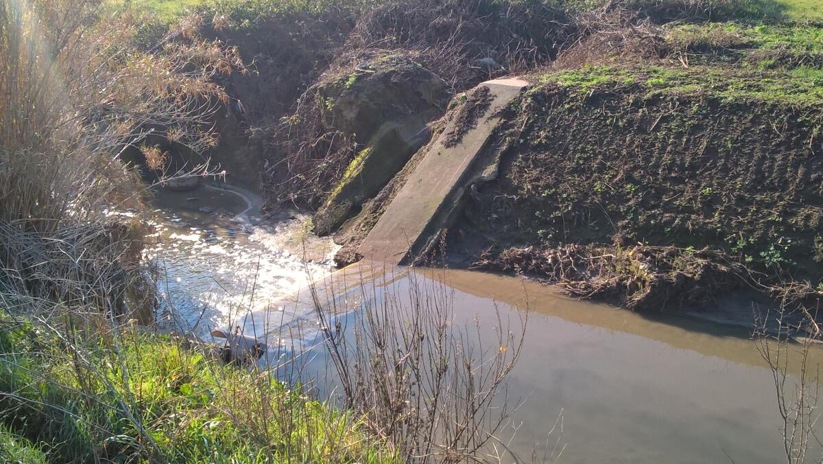 Il fosso Carrocetello in condizioni preoccupanti, "Chiediamo interventi immediati" - 