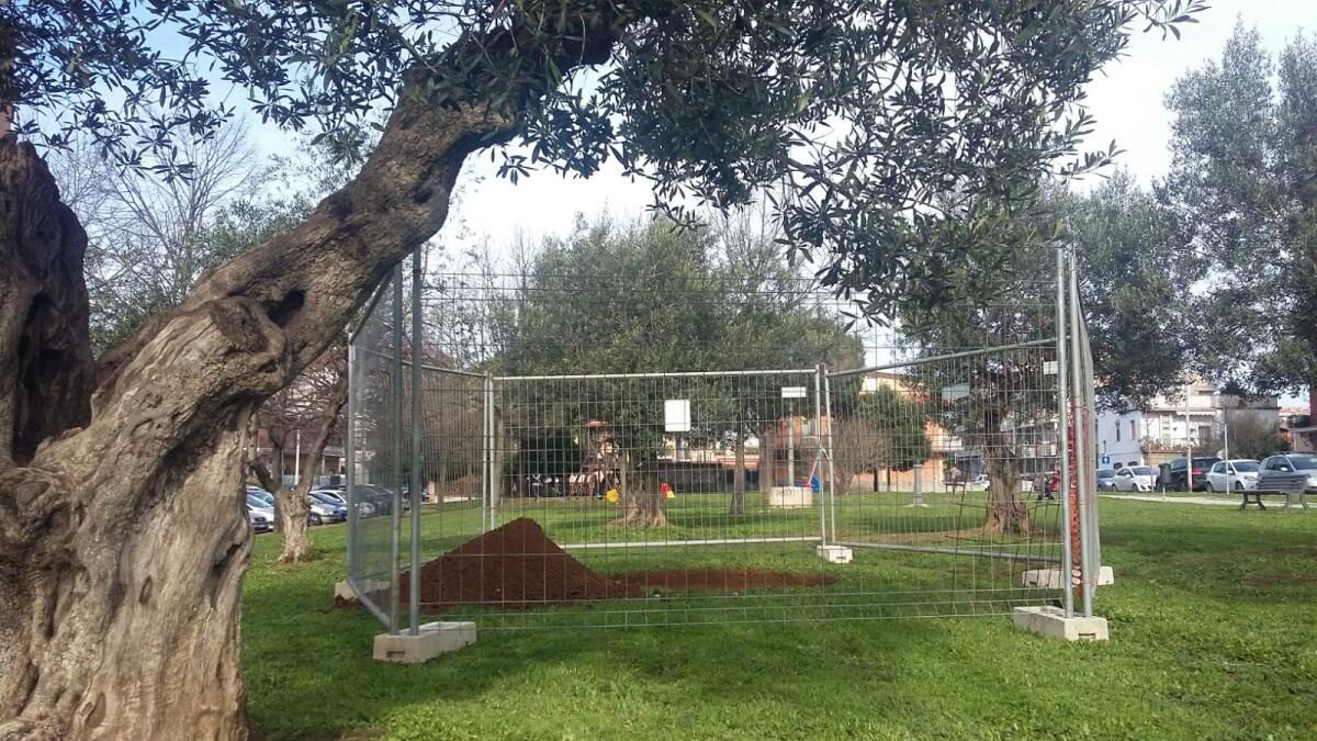 Pomezia, i giardini di via Catullo intitolati a Bruno Daccomi - 