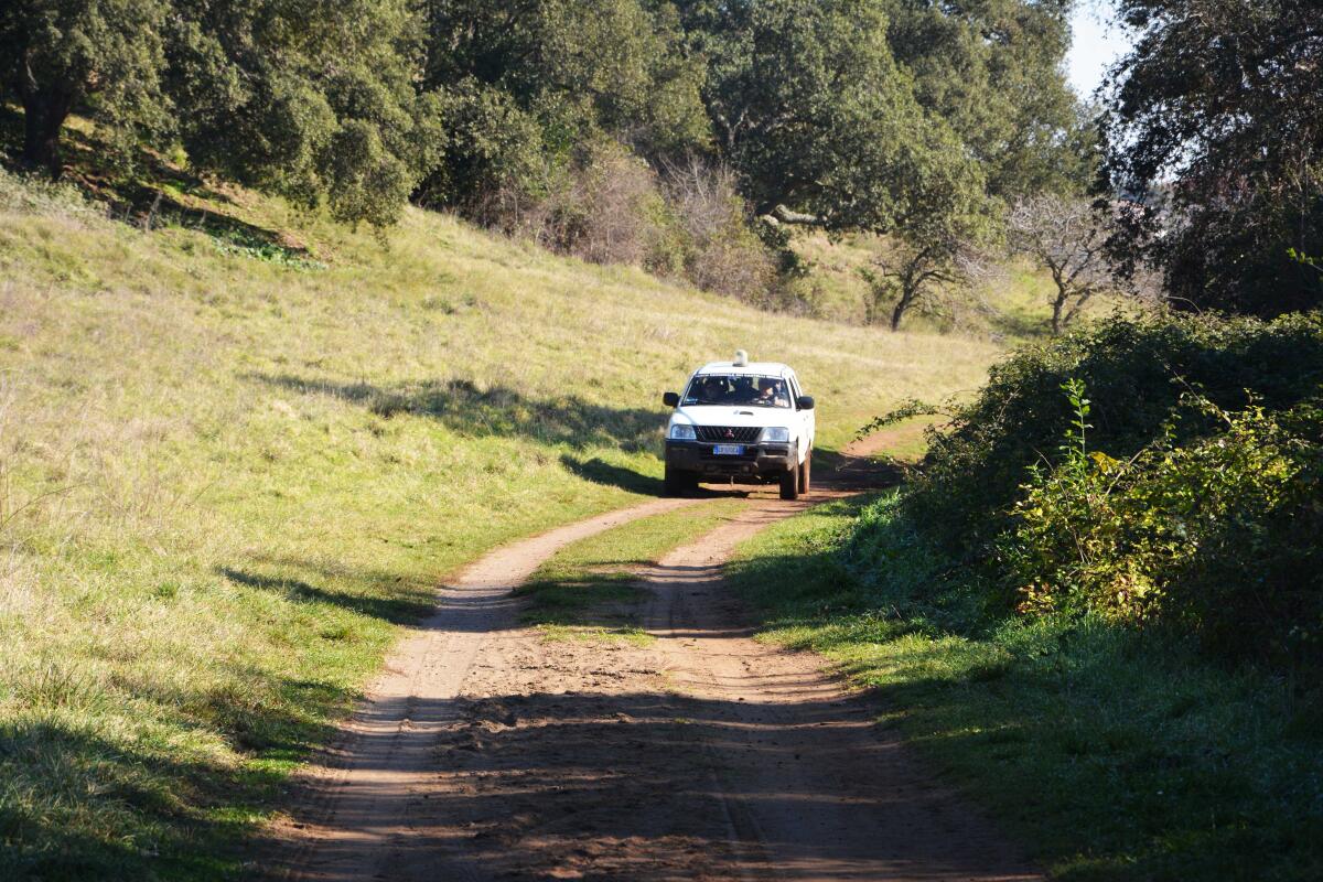 Riserva naturale della Sughereta, partiti i lavori per la realizzazione di quattro sentieri - 