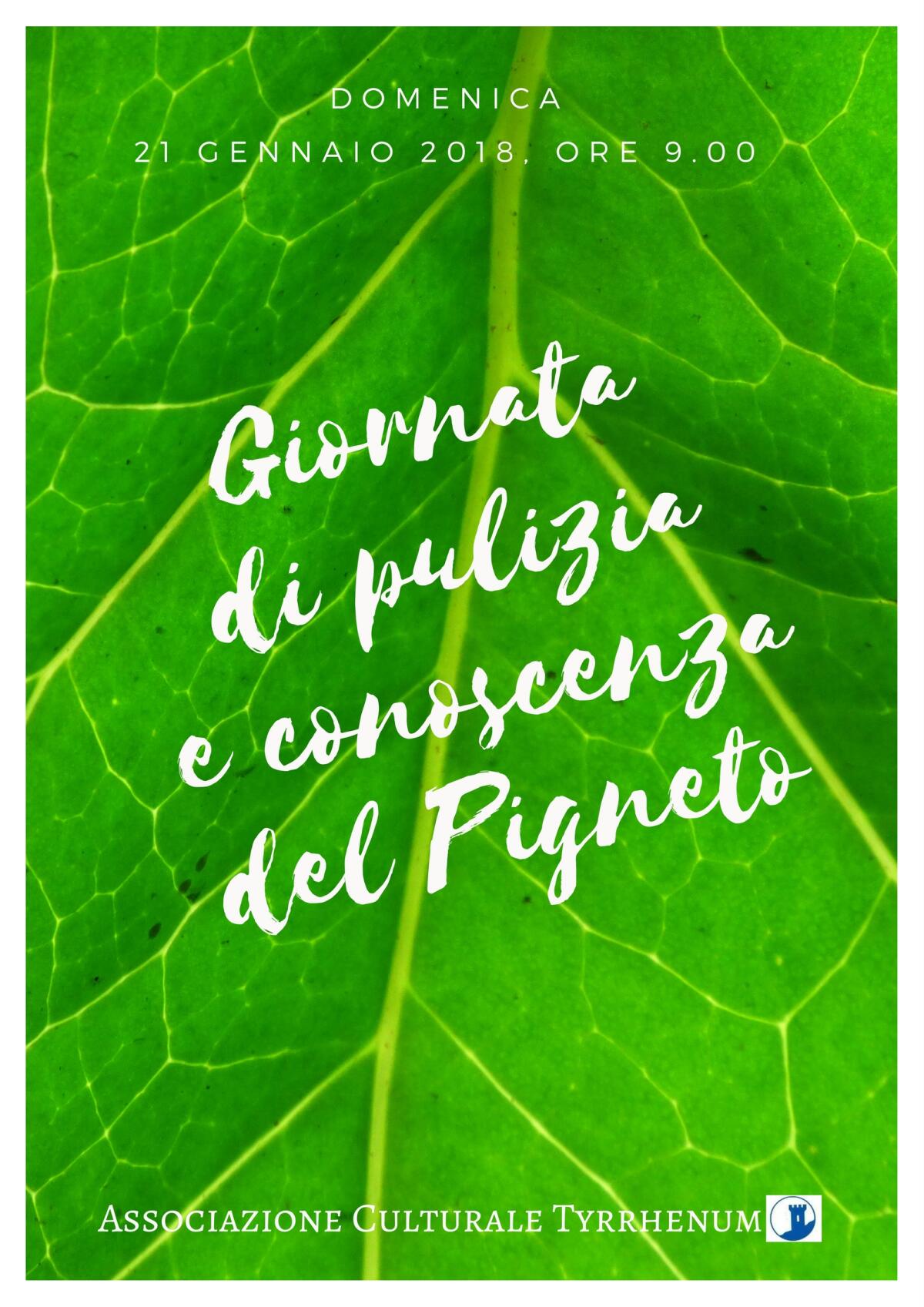 POMEZIA - Domenica 21 gennaio giornata dedicata alla pulizia e alla conoscenza del Pigneto. - 